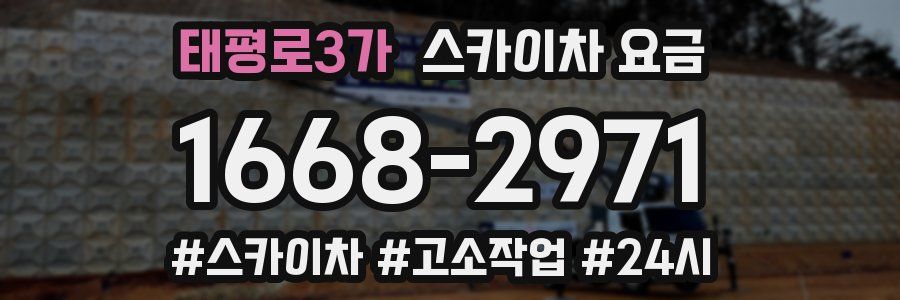 태평로3가 스카이차 요금