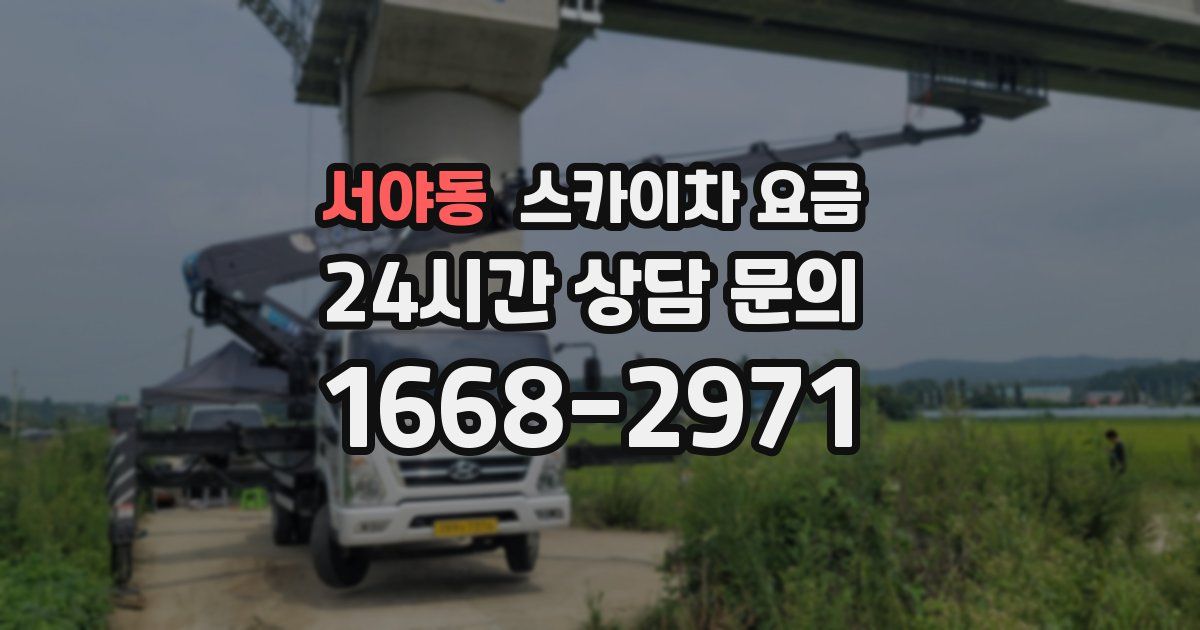서야동 스카이차 요금