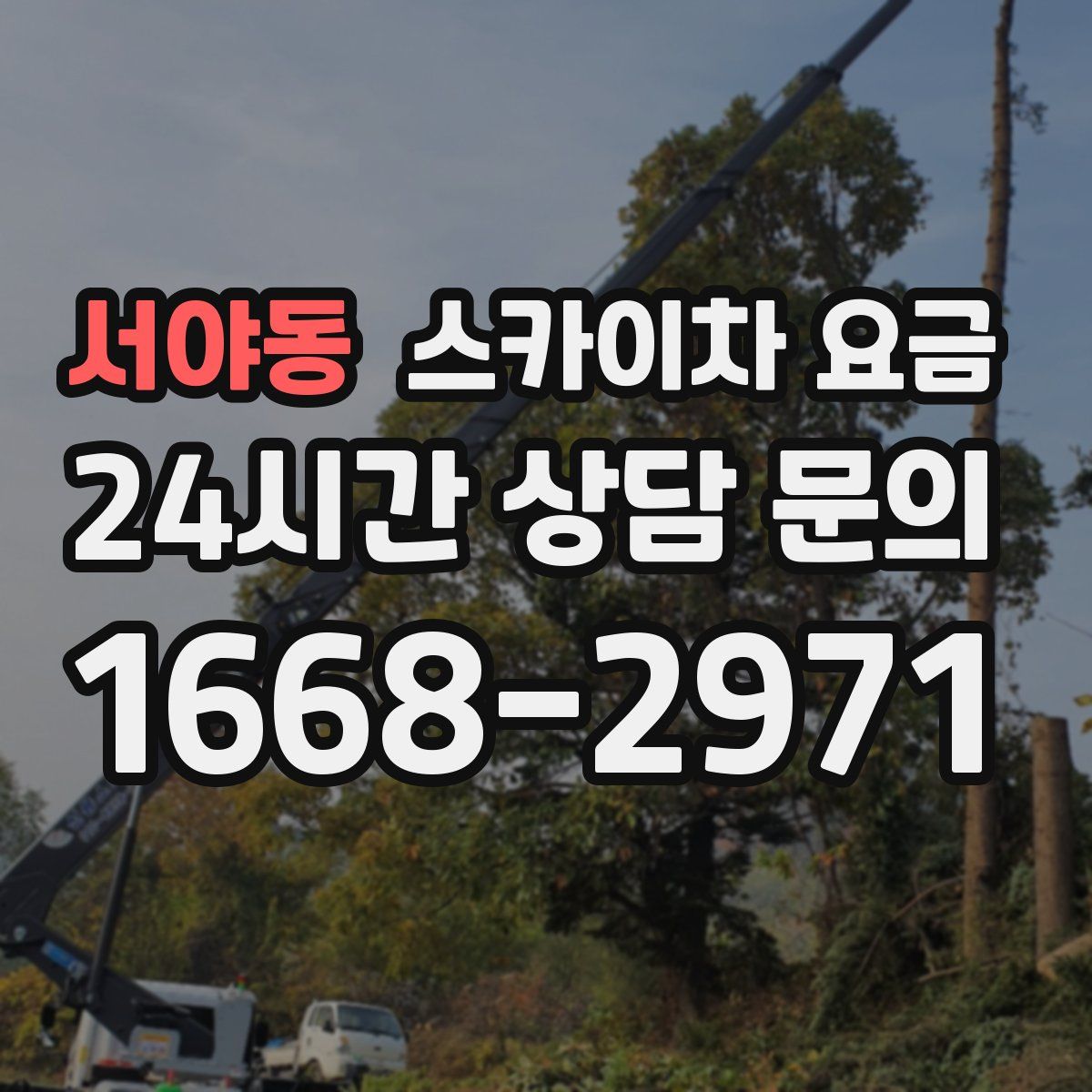 서야동 스카이차 요금
