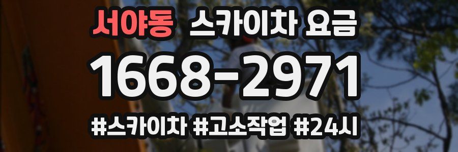 서야동 스카이차 요금