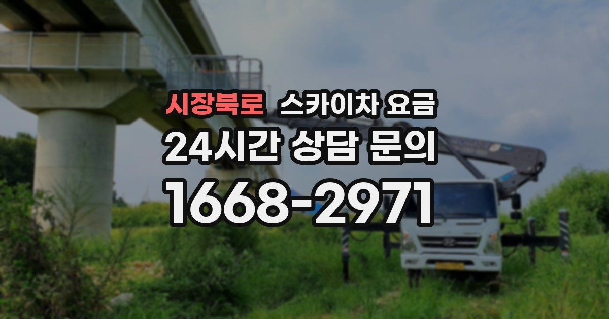 시장북로 스카이차 요금