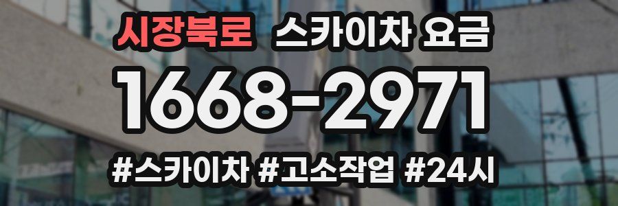 시장북로 스카이차 요금