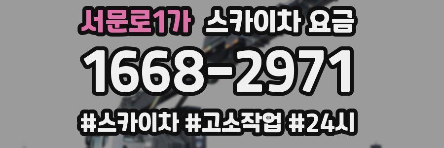 서문로1가 스카이차 요금