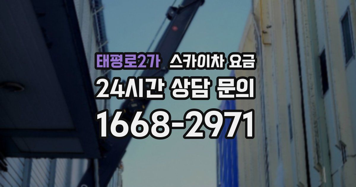태평로2가 스카이차 요금