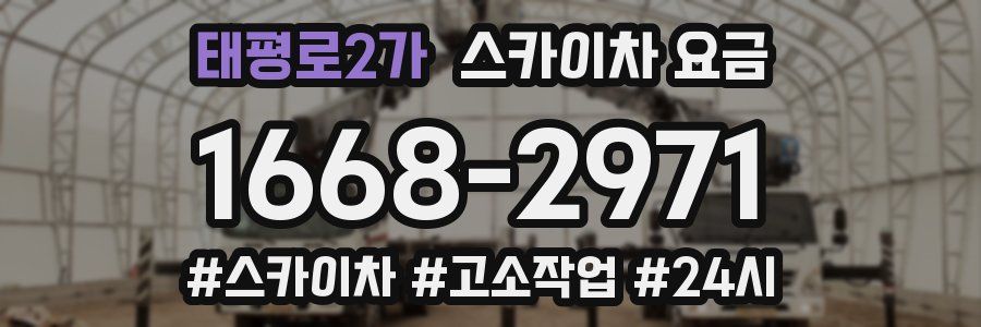 태평로2가 스카이차 요금