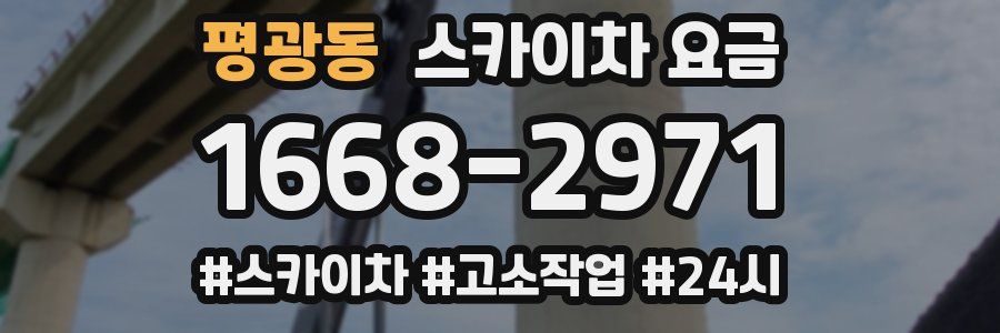 평광동 스카이차 요금