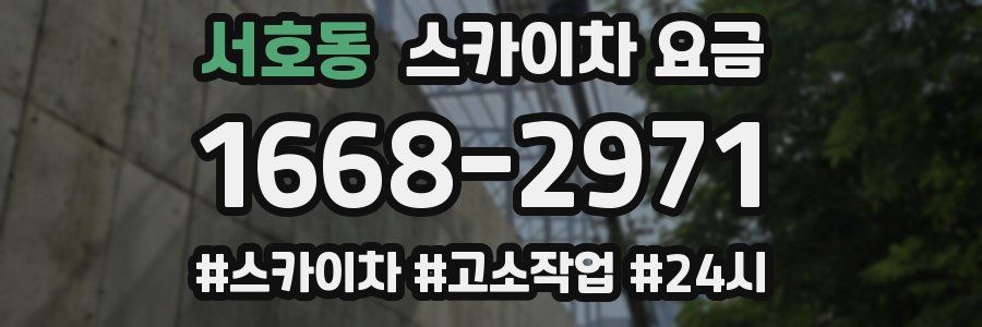 서호동 스카이차 요금