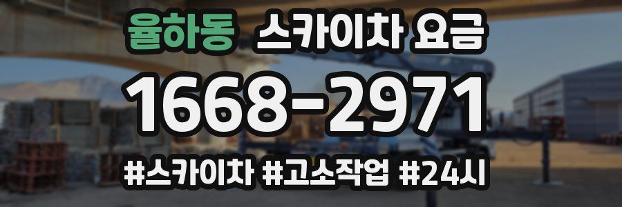 율하동 스카이차 요금