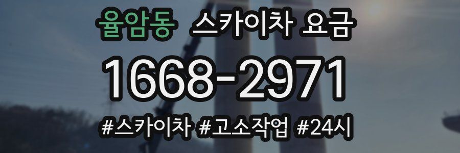율암동 스카이차 요금