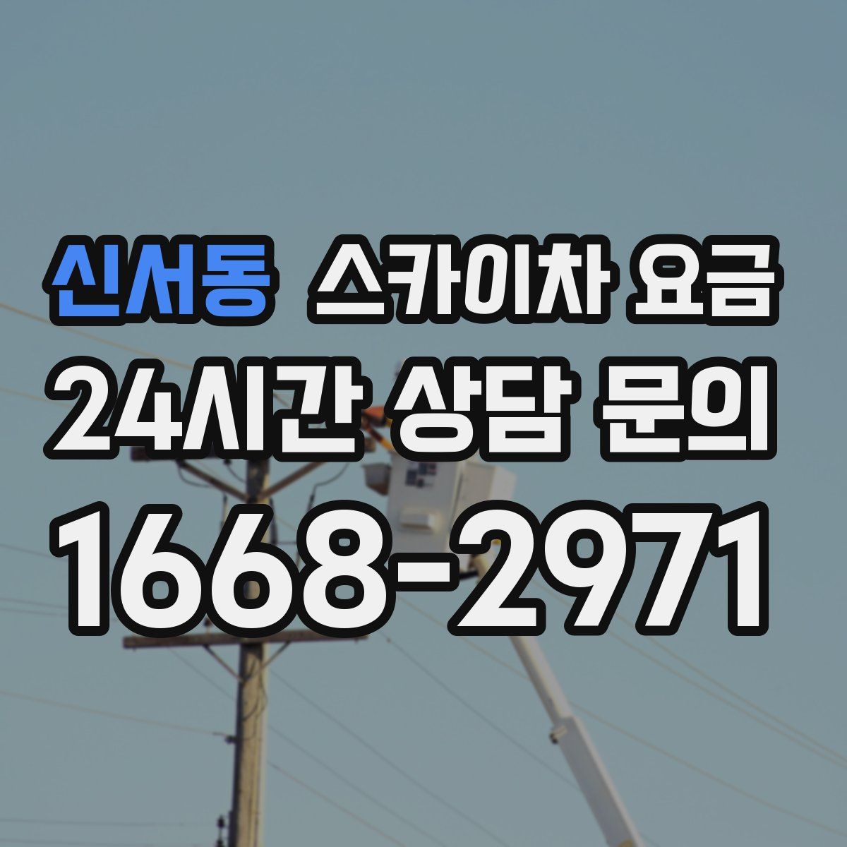 신서동 스카이차 요금