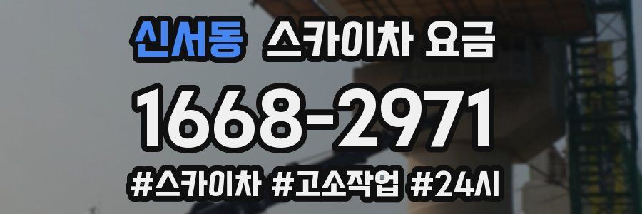 신서동 스카이차 요금