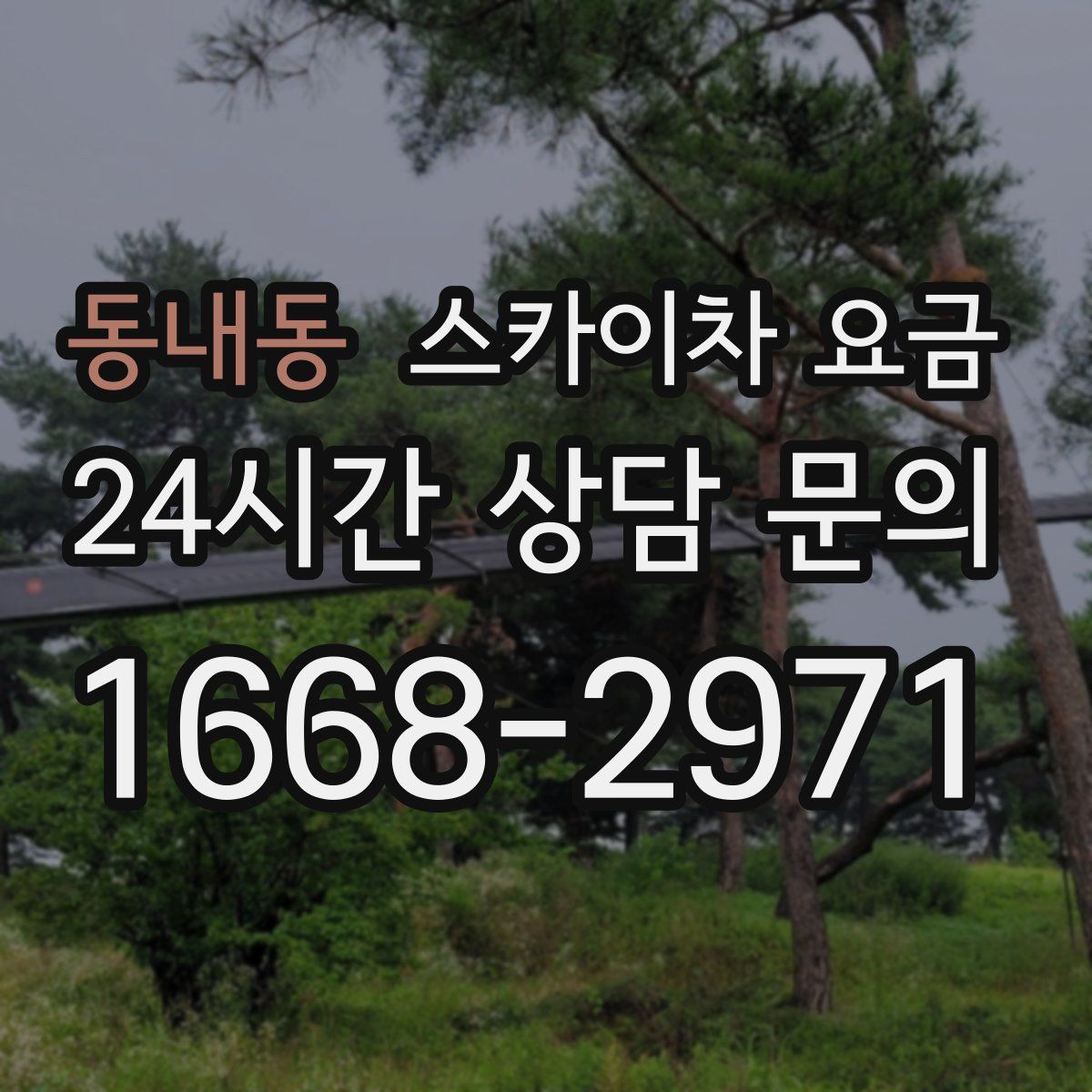 동내동 스카이차 요금