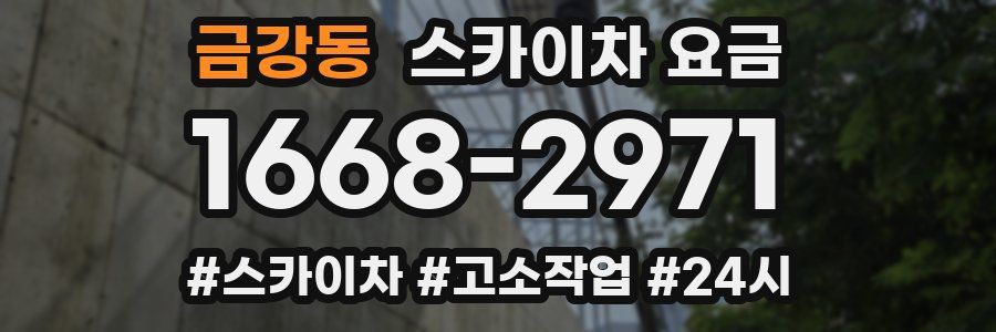 금강동 스카이차 요금