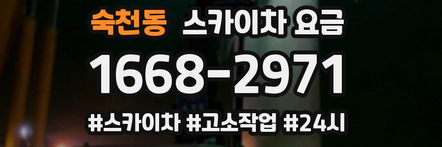 숙천동 스카이차 요금