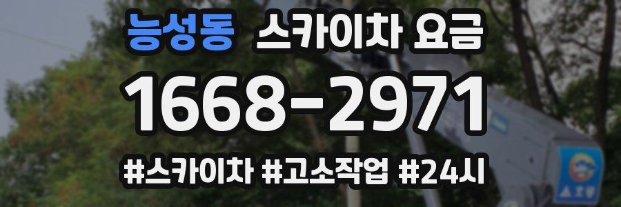 능성동 스카이차 요금
