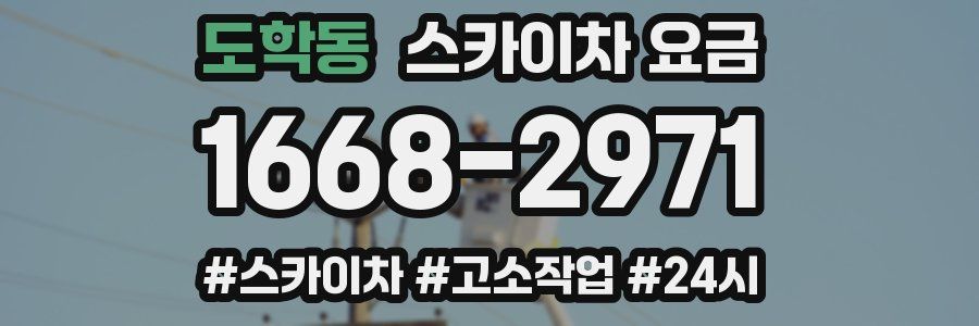 도학동 스카이차 요금