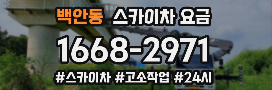 백안동 스카이차 요금