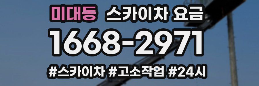 미대동 스카이차 요금