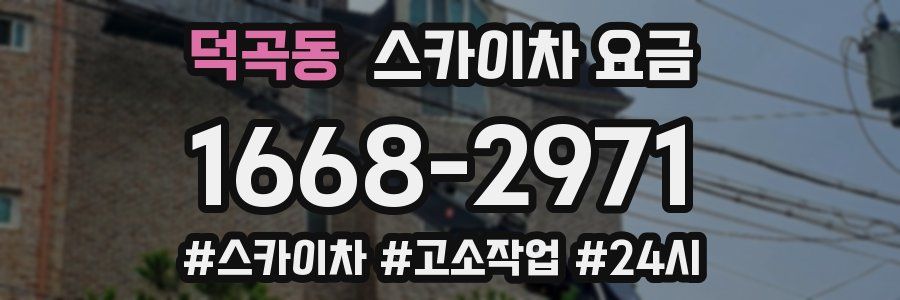 덕곡동 스카이차 요금