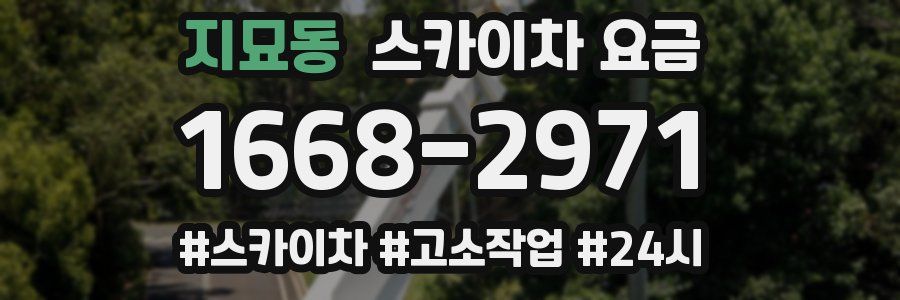 지묘동 스카이차 요금