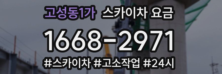 고성동1가 스카이차 요금