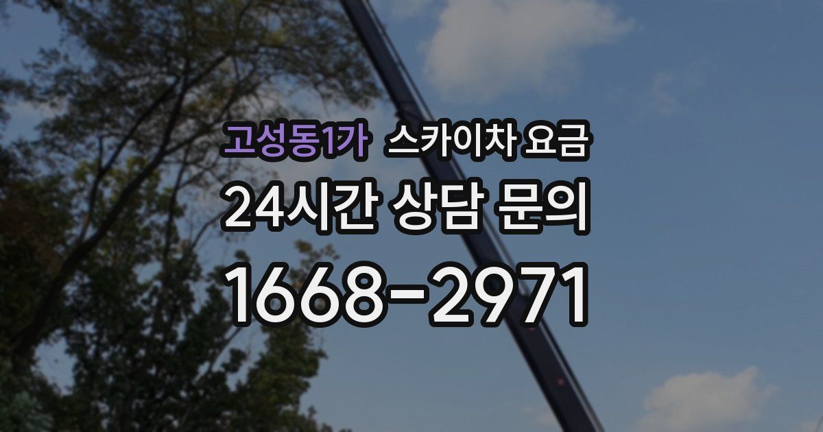 고성동1가 스카이차 요금