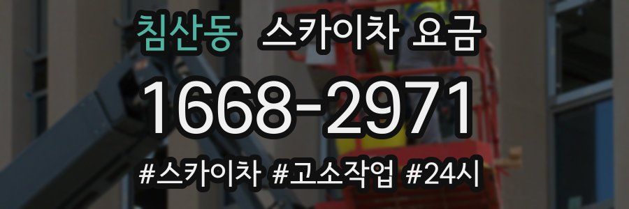 침산동 스카이차 요금