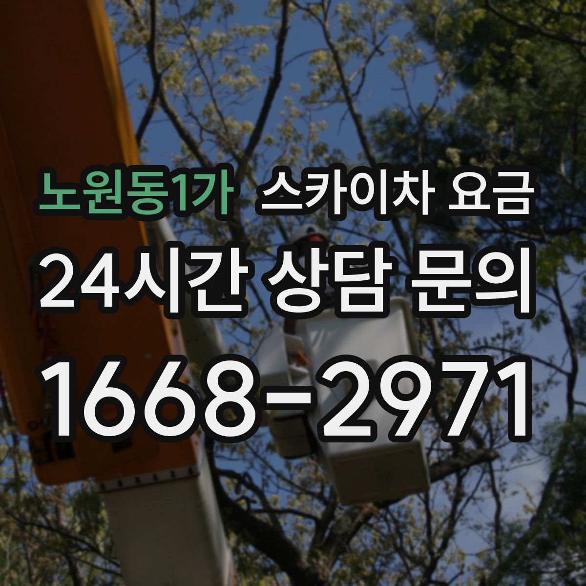 노원동1가 스카이차 요금