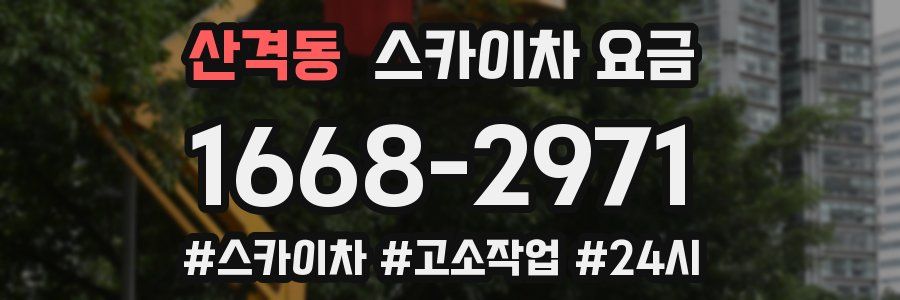 산격동 스카이차 요금