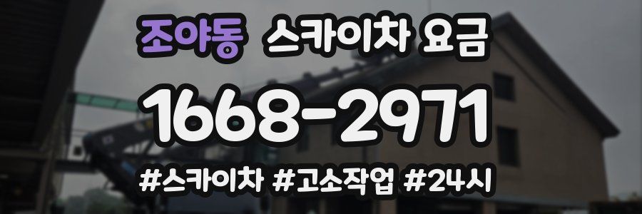 조야동 스카이차 요금