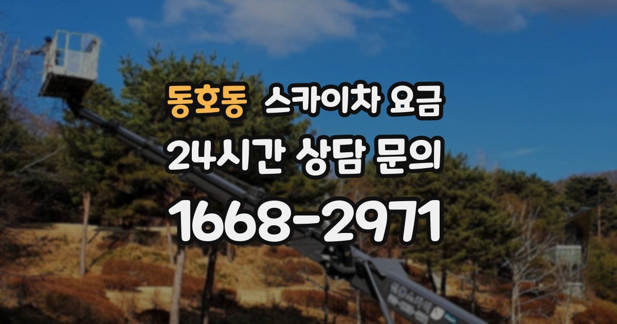 동호동 스카이차 요금