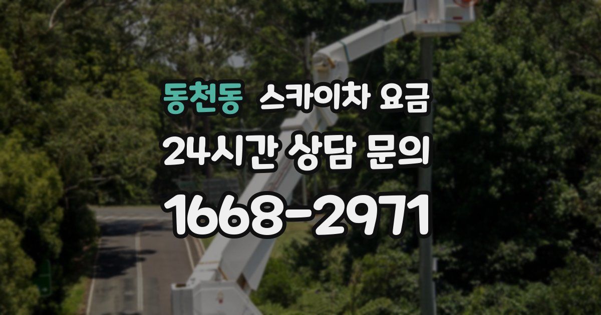 동천동 스카이차 요금
