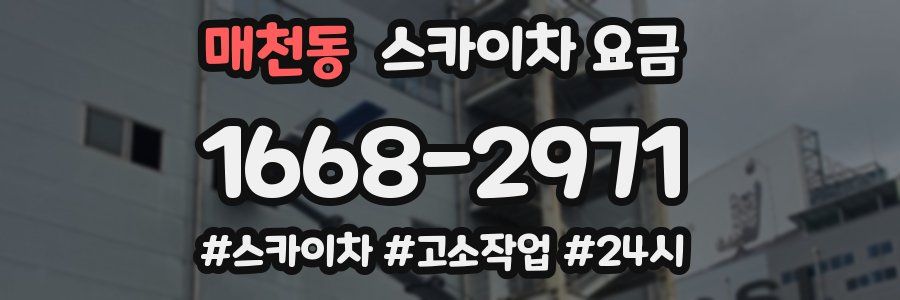 매천동 스카이차 요금