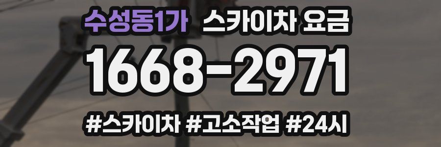 수성동1가 스카이차 요금