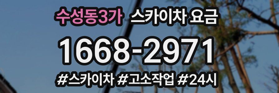 수성동3가 스카이차 요금