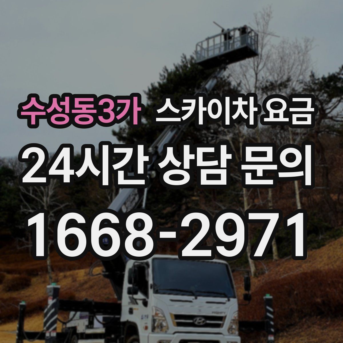 수성동3가 스카이차 요금