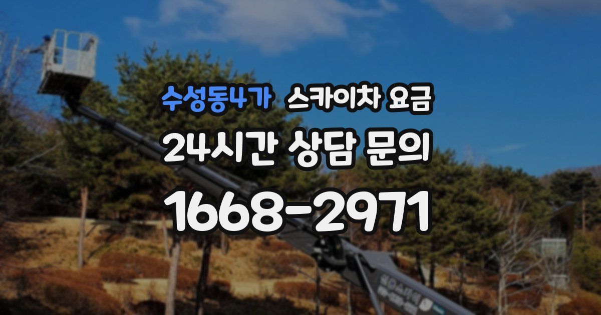 수성동4가 스카이차 요금