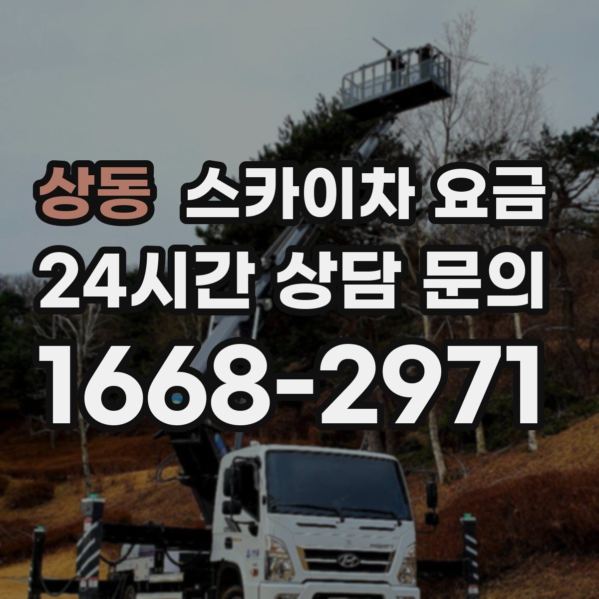 상동 스카이차 요금