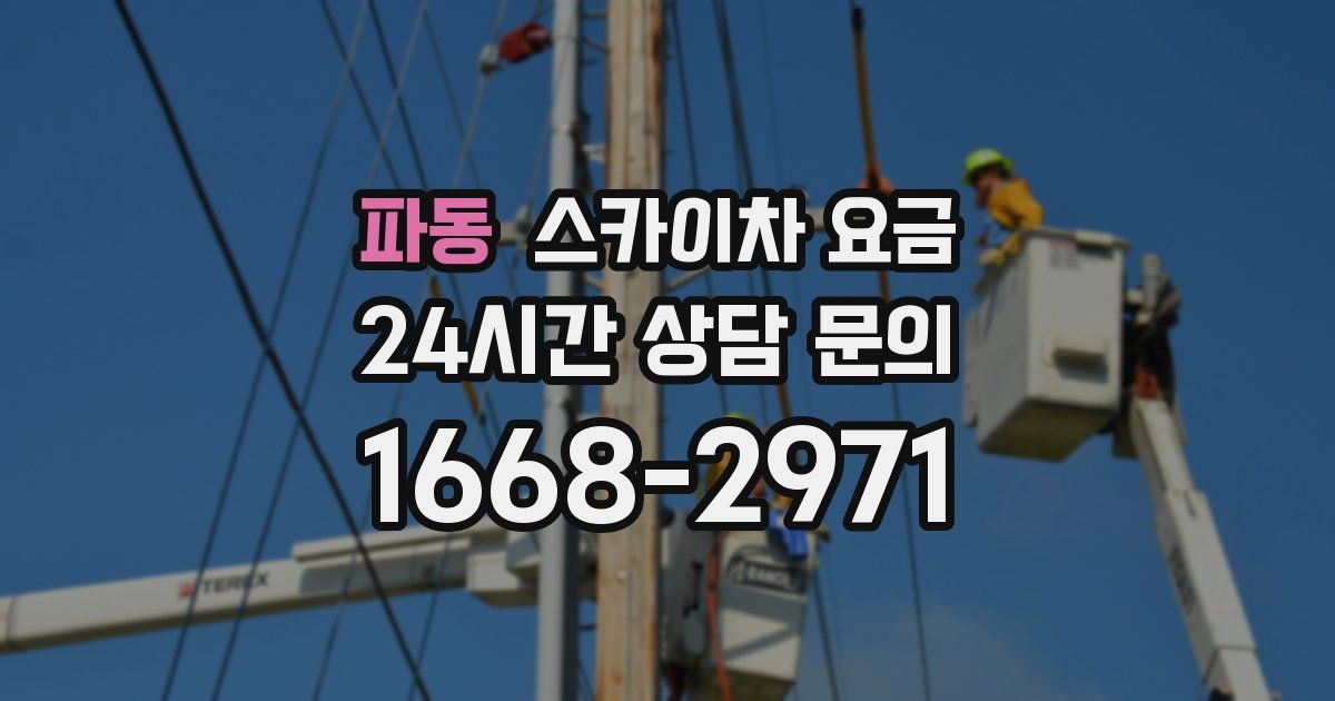 파동 스카이차 요금