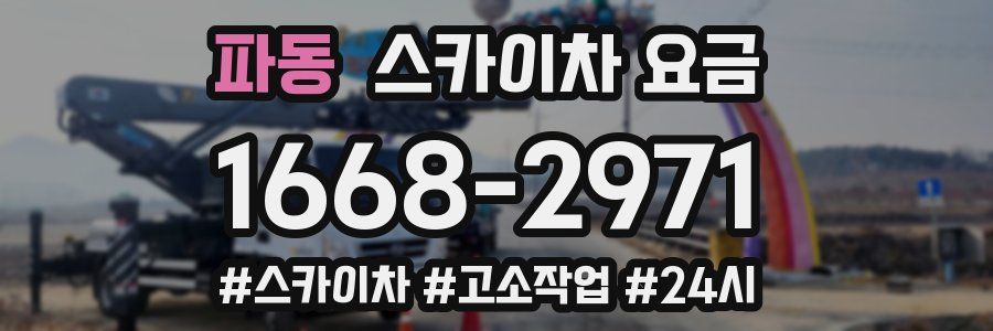 파동 스카이차 요금