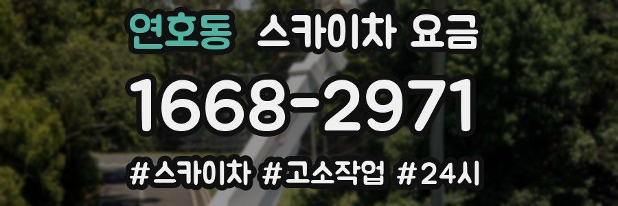 연호동 스카이차 요금