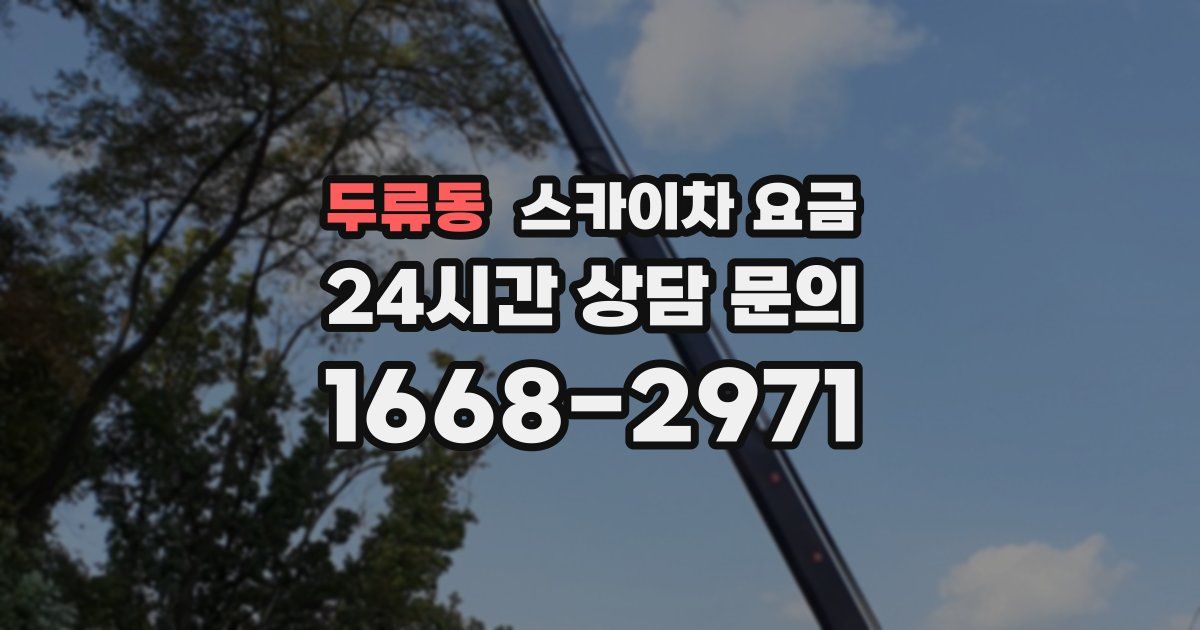 두류동 스카이차 요금