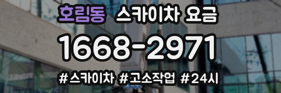호림동 스카이차 요금