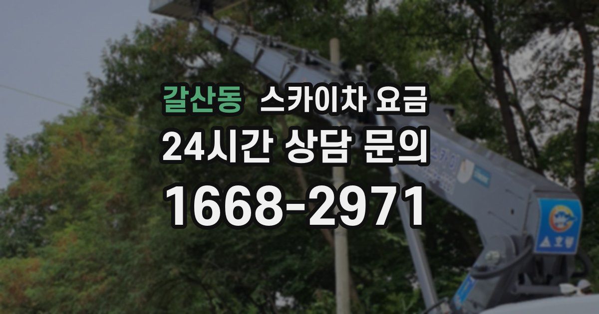 갈산동 스카이차 요금