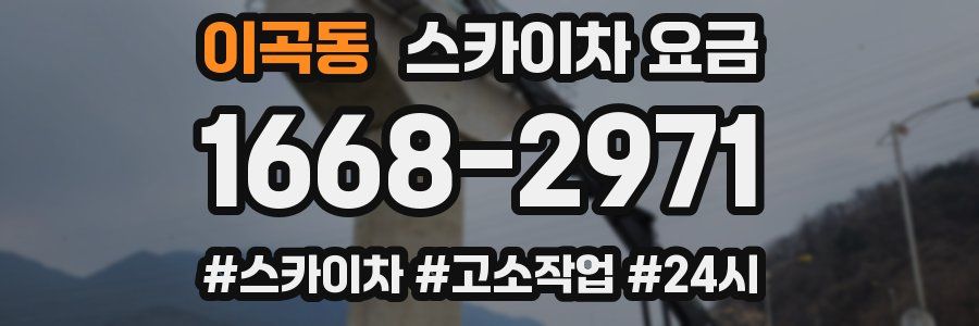 이곡동 스카이차 요금