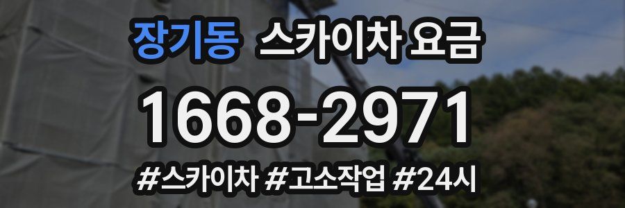 장기동 스카이차 요금