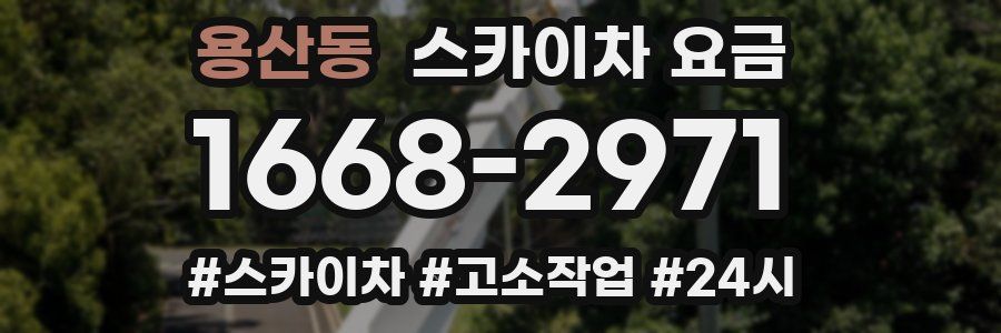 용산동 스카이차 요금