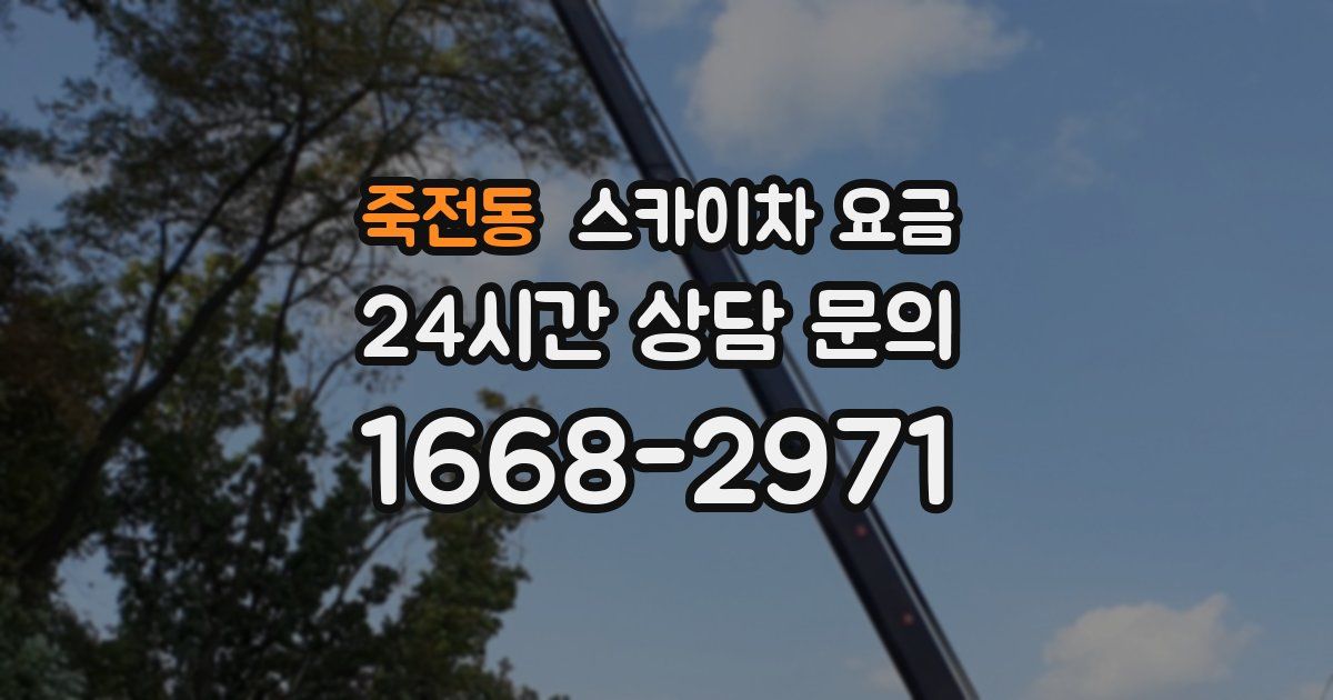 죽전동 스카이차 요금