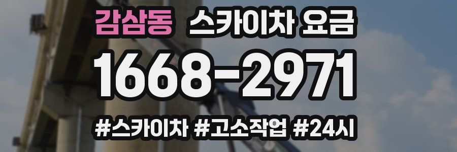 감삼동 스카이차 요금