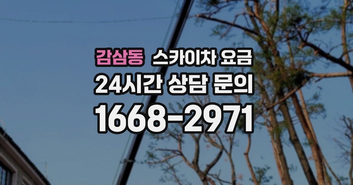 감삼동 스카이차 요금